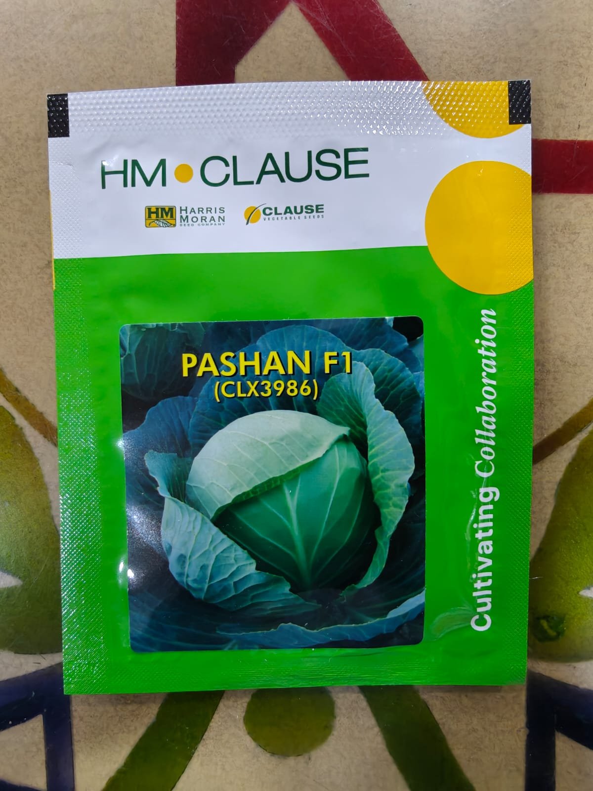 CLAUSE PASHAN F1 | 10g | Cabbage